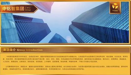 中銘智控股（深圳） 專業(yè)投資管理咨詢服務解析